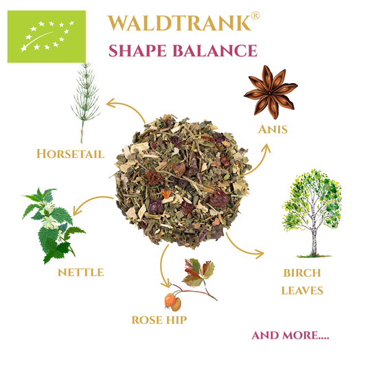 BIO Shape Balance