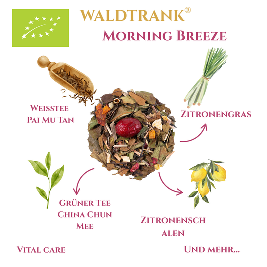 BIO Morning Breeze