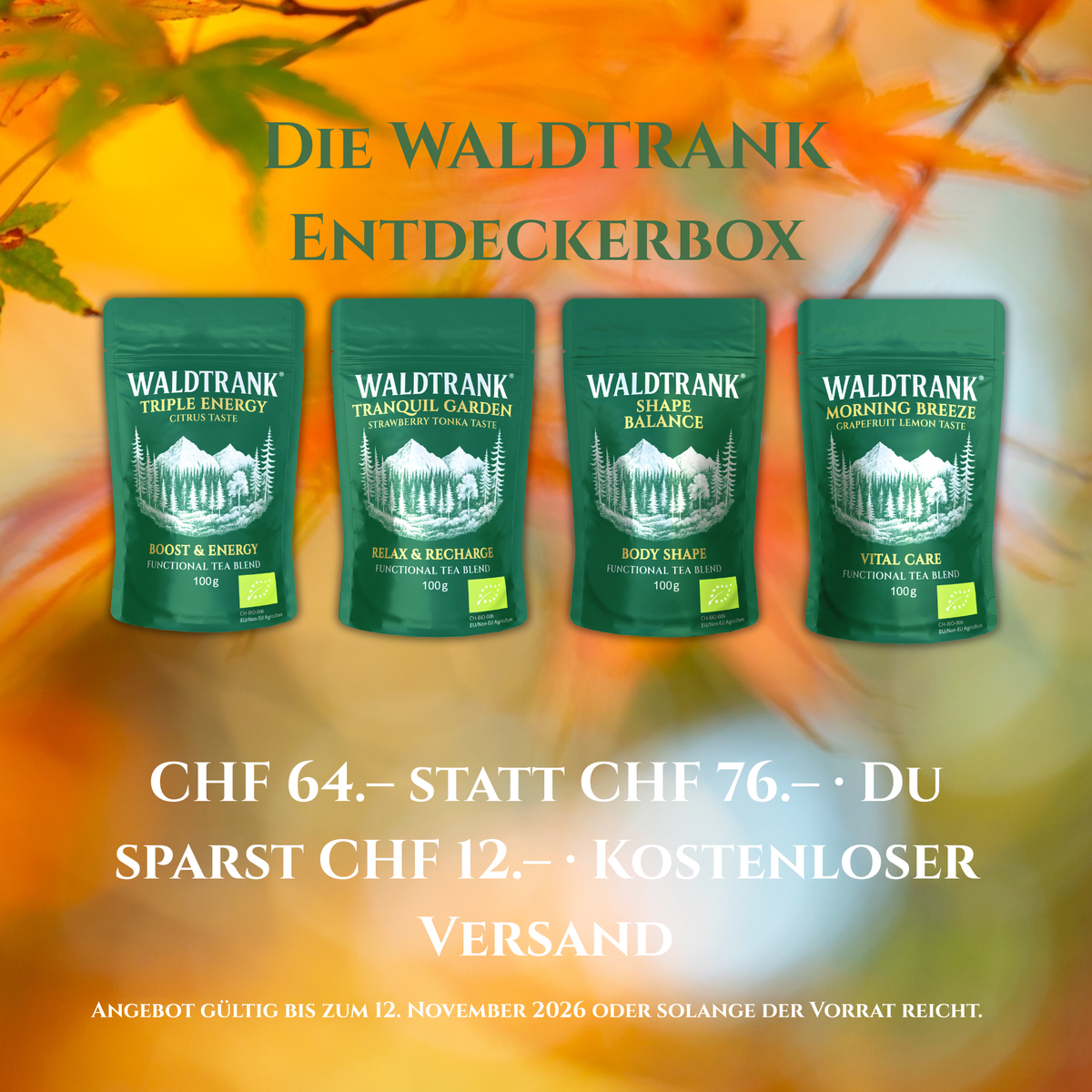 The WALDTRANK Discovery Box – 4-Tea Set