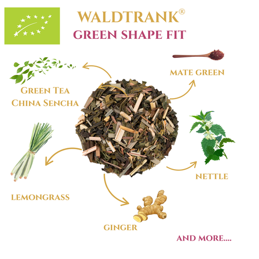 BIO Green Shape Fit