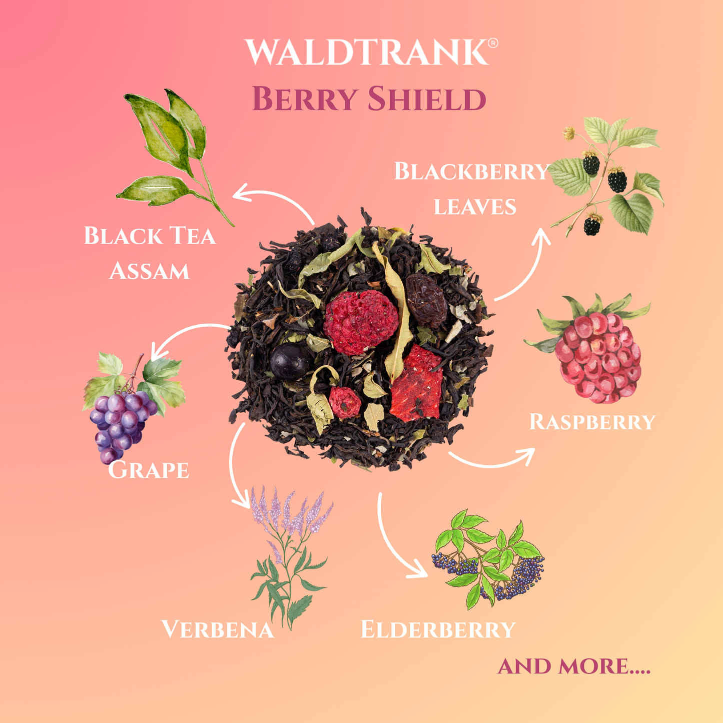Berry Shield