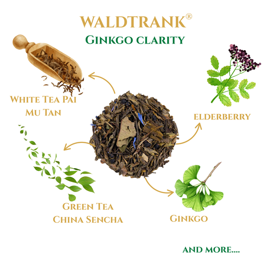Ginkgo Clarity