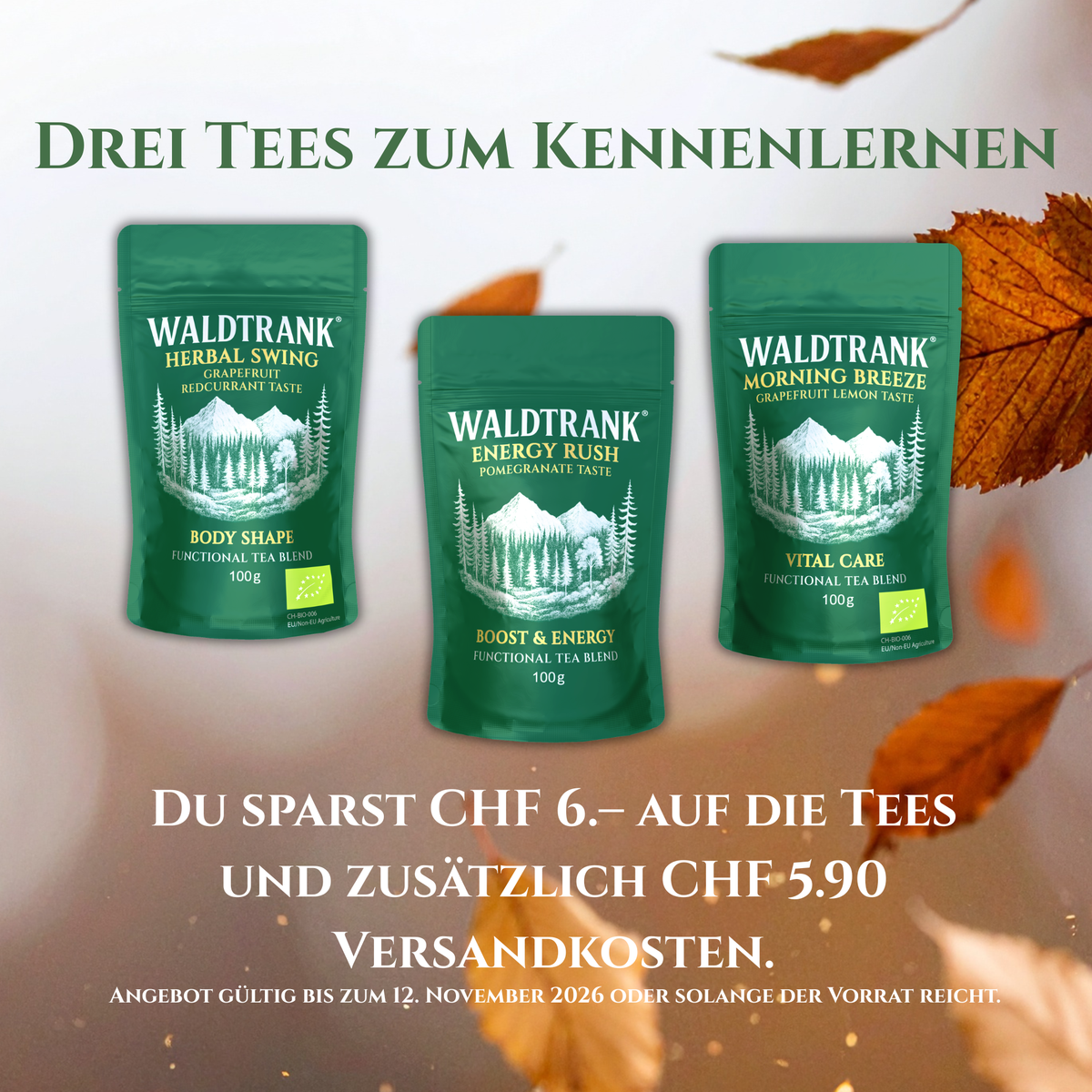 Three Teas to Discover – WALDTRANK Discovery Set