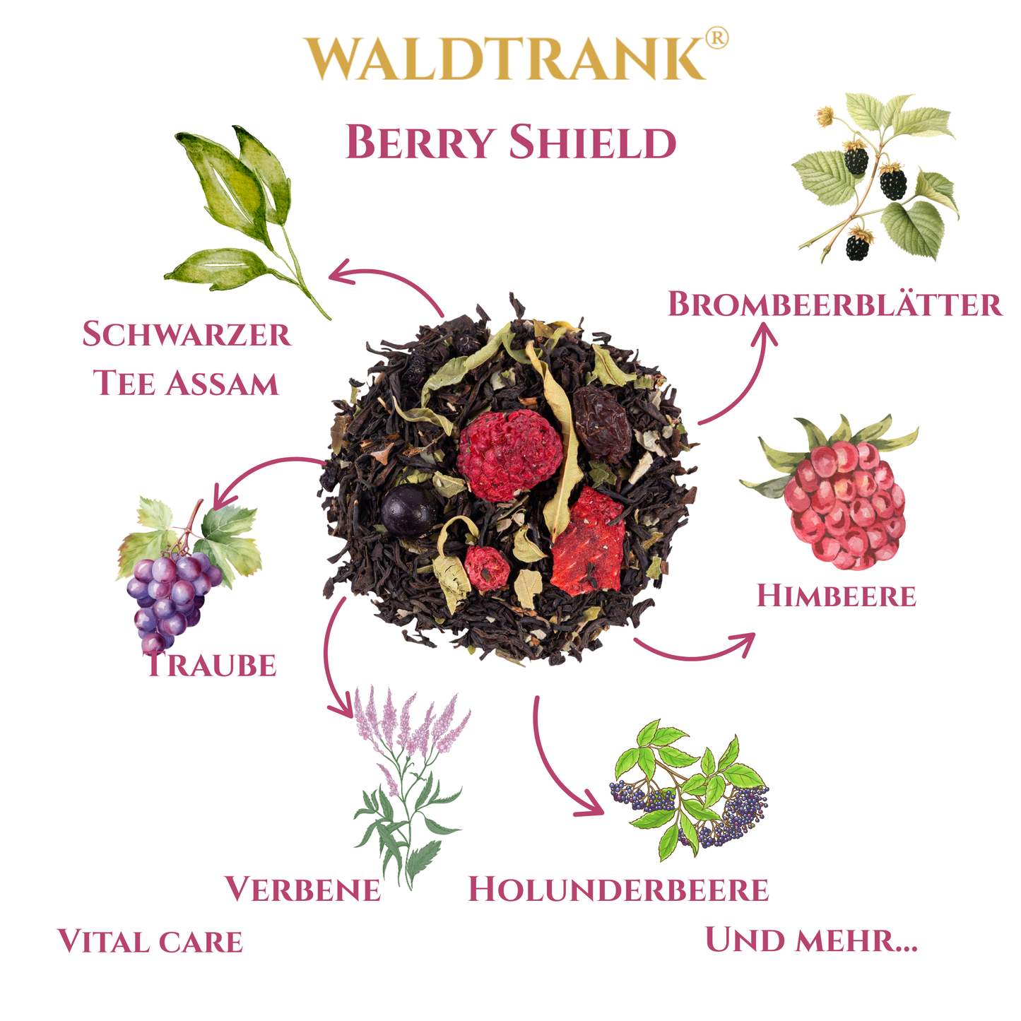 Berry Shield