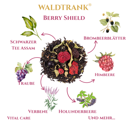 Berry Shield