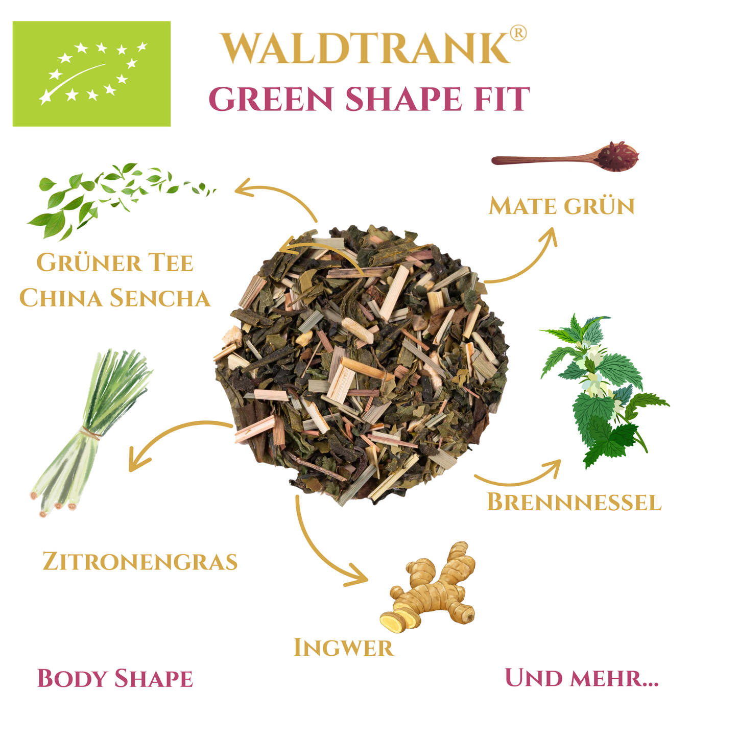 BIO Green Shape Fit